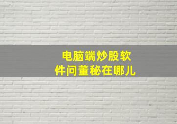 电脑端炒股软件问董秘在哪儿