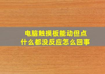 电脑触摸板能动但点什么都没反应怎么回事