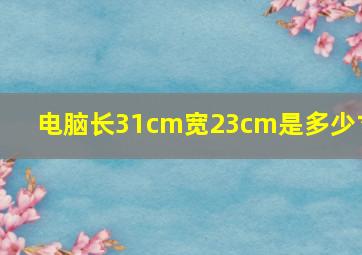 电脑长31cm宽23cm是多少寸