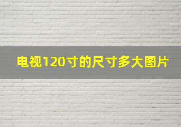 电视120寸的尺寸多大图片