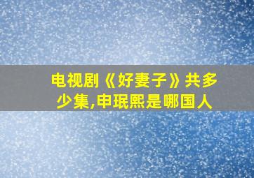 电视剧《好妻子》共多少集,申珉熙是哪国人