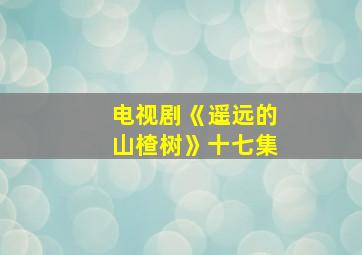 电视剧《遥远的山楂树》十七集