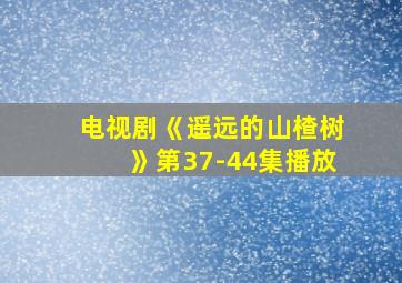 电视剧《遥远的山楂树》第37-44集播放