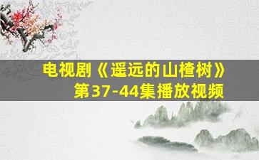 电视剧《遥远的山楂树》第37-44集播放视频