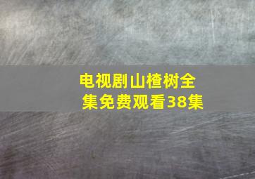 电视剧山楂树全集免费观看38集