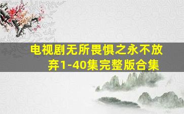 电视剧无所畏惧之永不放弃1-40集完整版合集