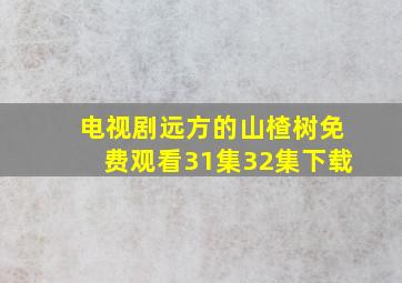 电视剧远方的山楂树免费观看31集32集下载