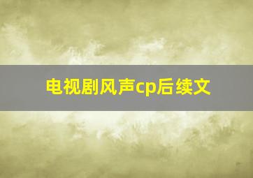 电视剧风声cp后续文