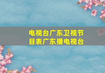 电视台广东卫视节目表广东播电视台