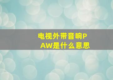 电视外带音响PAW是什么意思