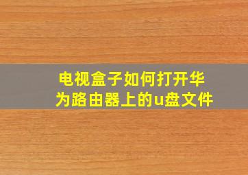 电视盒子如何打开华为路由器上的u盘文件