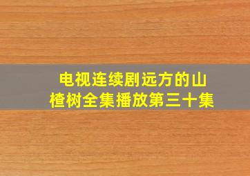 电视连续剧远方的山楂树全集播放第三十集