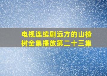 电视连续剧远方的山楂树全集播放第二十三集