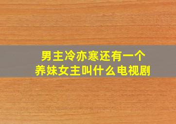 男主冷亦寒还有一个养妹女主叫什么电视剧