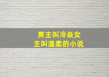 男主叫冷焱女主叫温柔的小说