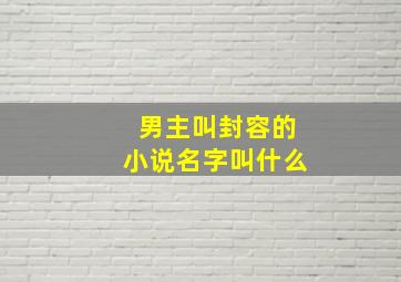 男主叫封容的小说名字叫什么