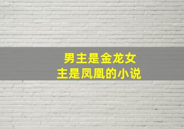 男主是金龙女主是凤凰的小说