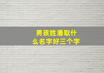 男孩姓潘取什么名字好三个字