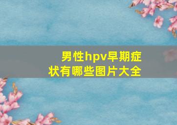 男性hpv早期症状有哪些图片大全