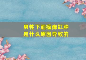 男性下面瘙痒红肿是什么原因导致的