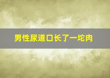 男性尿道口长了一坨肉