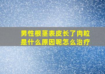 男性根茎表皮长了肉粒是什么原因呢怎么治疗