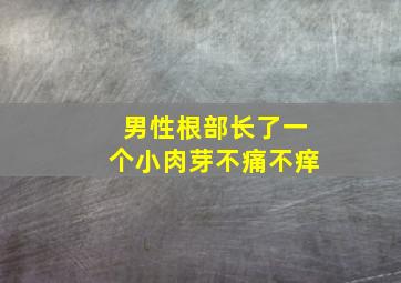 男性根部长了一个小肉芽不痛不痒