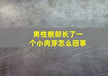 男性根部长了一个小肉芽怎么回事