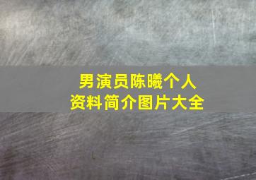 男演员陈曦个人资料简介图片大全