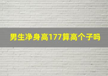 男生净身高177算高个子吗