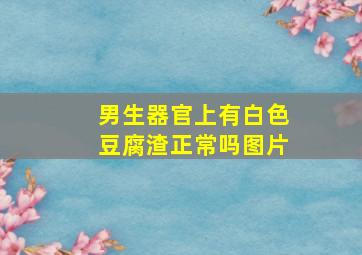 男生器官上有白色豆腐渣正常吗图片