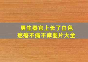 男生器官上长了白色疙瘩不痛不痒图片大全