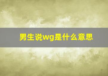 男生说wg是什么意思