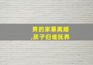 男的家暴离婚,孩子归谁抚养