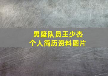 男篮队员王少杰个人简历资料图片