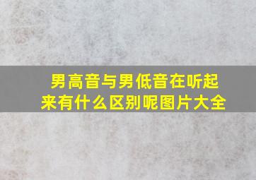 男高音与男低音在听起来有什么区别呢图片大全