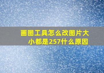 画图工具怎么改图片大小都是257什么原因