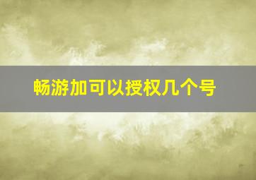 畅游加可以授权几个号