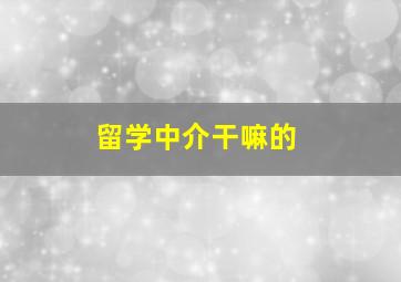 留学中介干嘛的