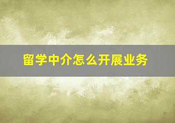 留学中介怎么开展业务