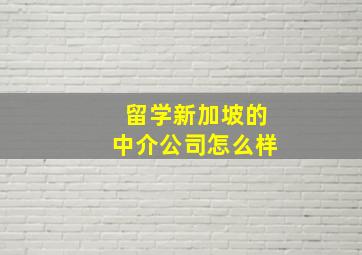 留学新加坡的中介公司怎么样