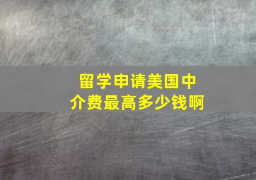 留学申请美国中介费最高多少钱啊