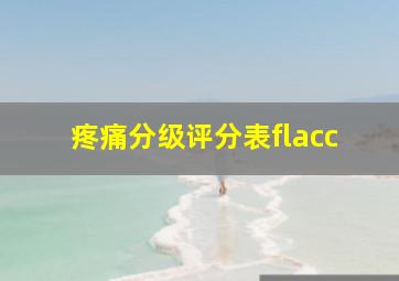 疼痛分级评分表flacc