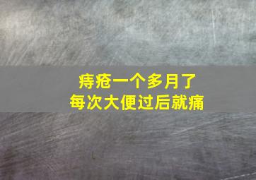 痔疮一个多月了每次大便过后就痛