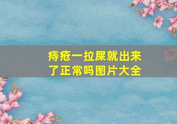 痔疮一拉屎就出来了正常吗图片大全