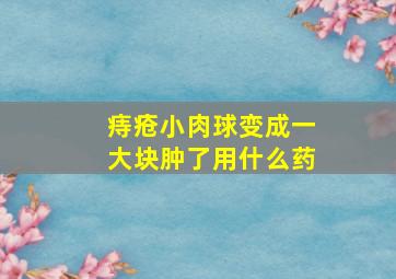 痔疮小肉球变成一大块肿了用什么药