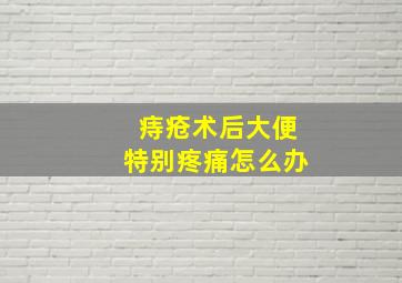 痔疮术后大便特别疼痛怎么办