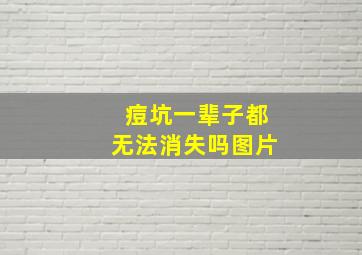 痘坑一辈子都无法消失吗图片