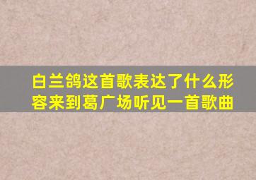 白兰鸽这首歌表达了什么形容来到葛广场听见一首歌曲