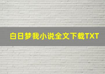 白日梦我小说全文下载TXT